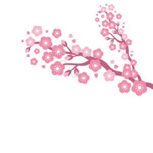 樱花树 樱花 树枝 粉红樱花 简约 樱花花藤 装饰 花边