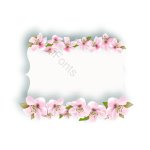 樱花 樱花边框 花边 粉红 矢量 边框 樱花花藤 白色