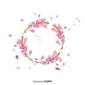 樱花 樱花花环 藤蔓 矢量 手绘 粉红色 粉色樱花 花环