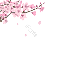 手绘竽 樱花开 樱花花环边框 浪漫 苍白 粉色 文框 跌倒了