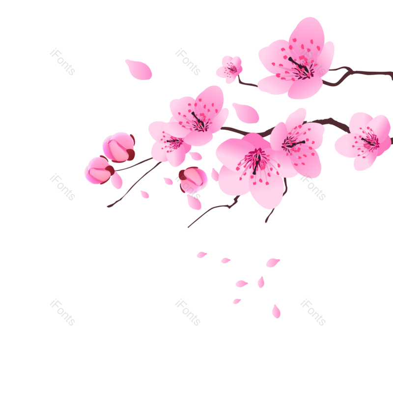 唯美图片,花朵元素,树枝PNG,春季免抠素材