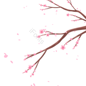 樱花 日式 花枝 简约 手绘 春节 植物 飘落