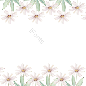 复古的 手绘 春天 浪漫 苍白 白色的花 绿叶 花