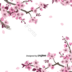 复古的 春天立春 桃花花朵 桃花枝 浪漫 粉色 花丛花卉植物 花瓣