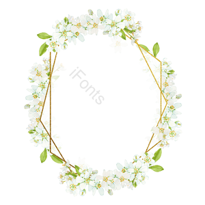 小白花 花 藤蔓 花卉 小花 春季 文艺 花苞