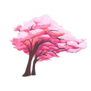 春季 植物 樱花 树 粉色 可爱 清新 元素