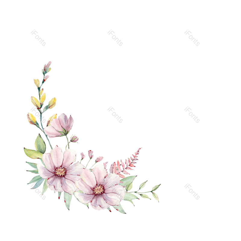 浪漫图片,雏菊元素,春季PNG,女神节免抠素材