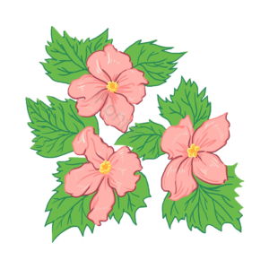 春季 花卉 樱花 粉色 展板 海报 元素 清新