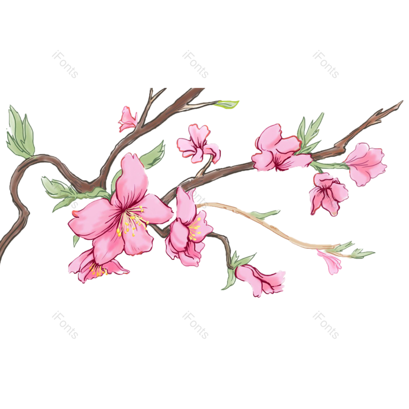 叶子图片,装饰元素,素材PNG,树枝免抠素材