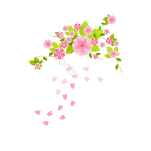 桃花 樱花 绿叶 叶子 插画 卡通 粉色 绿色