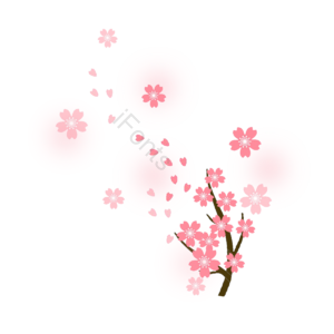 桃花 樱花树 树枝 花瓣 插画 粉色 活泼 清新
