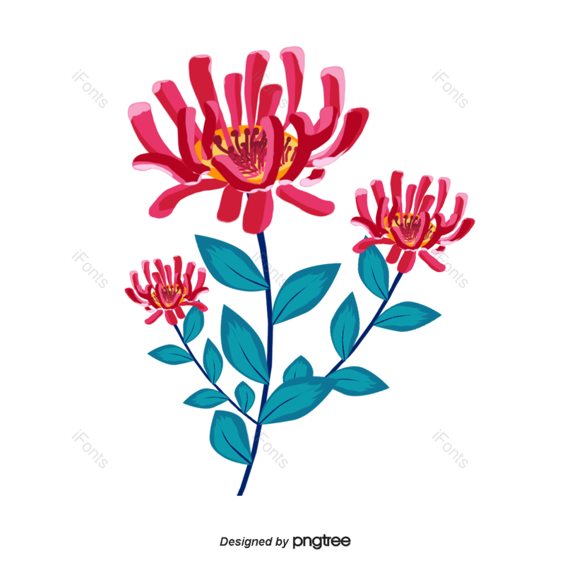 花朵图片,花朵背景元素,植物PNG,免抠素材