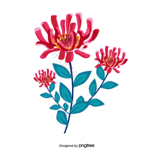 花开 花朵 植物 花 水彩手绘风 花朵背景  彼岸花