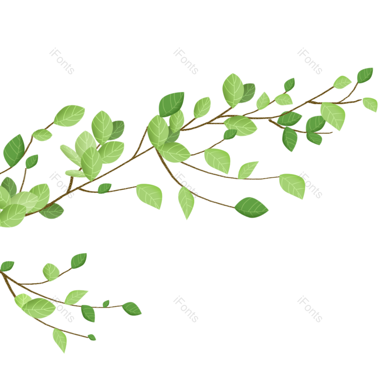 叶子图片,树叶元素,树枝PNG,春季免抠素材