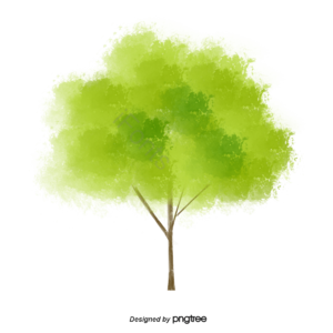 春天 树木 森林 小树 手绘风 水彩插画 小清新 早晨