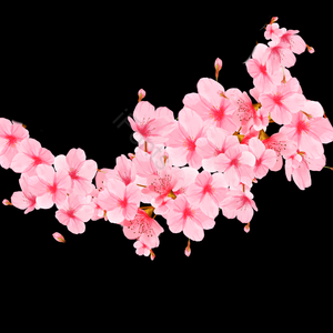 动画片 唯美主义 安排 插画 日本 春天 植物 樱花