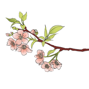 叶子 绿色 粉色 花 可爱 手绘 阳光 清新