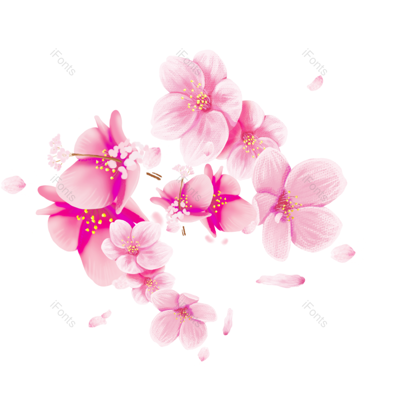 装饰图片,春节元素,清新PNG,质感免抠素材