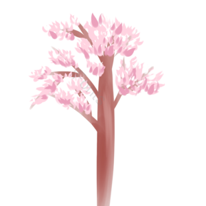 简约 樱花树 樱花 素材 粉色 春季 樱花季