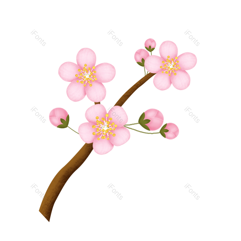 清新图片,插画元素,简约PNG,花朵免抠素材