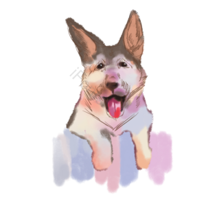 德国 牧羊犬 德牧 德国牧羊犬 手绘 插画 元素 棕色