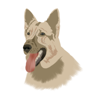 犬 狗 吐舌头 可爱 手绘 德牧 德国 牧羊犬