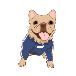 动物 动画片 可爱 宠物 英国 蓝色衣服 黄色 斗牛犬
