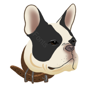 宠物 小动物 手绘竽 插画用图 斗牛犬 狗 英国 可爱的