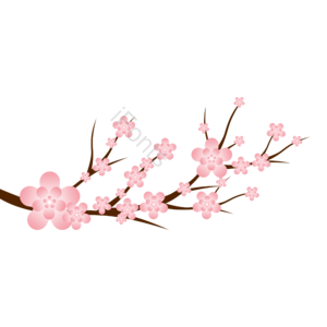 粉色 樱花 树枝 插画 日本樱花 花朵 插画 樱花节