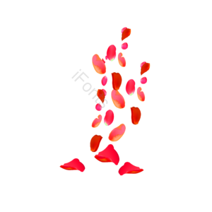 粉色 花瓣 插画 简约 元素 情人节 装饰