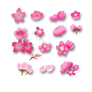 樱花 创意 手绘 集合 粉色 渐变 花瓣 花苞