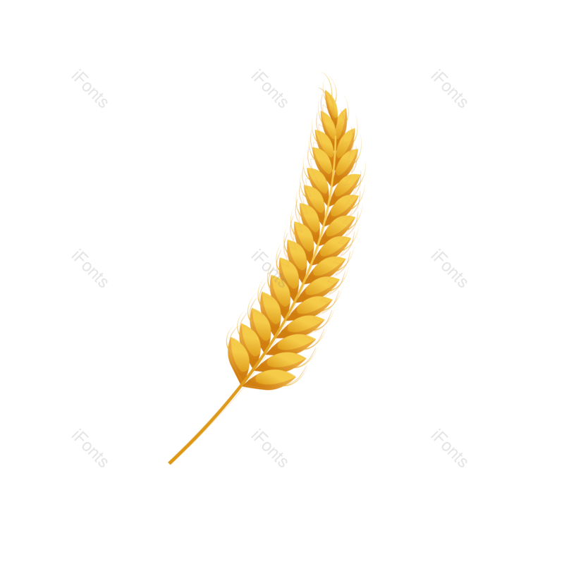 线条图片,霓虹灯元素,麦穗PNG,彩色免抠素材