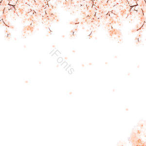 花 花枝 樱花 樱花树 樱花元素 春 浅粉色 清臣