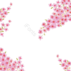 叶 春天 樱花 柔软苍白 白 粉红色 框架 叶剪贴画