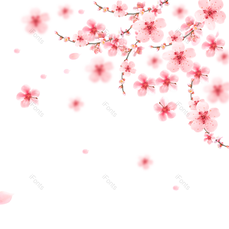 装饰图片,浪漫元素,素材PNG,春季免抠素材