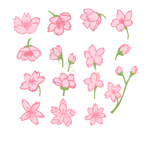 樱花 樱花集合 日本樱花 多朝向樱花 手绘 卡通 创意 粉色