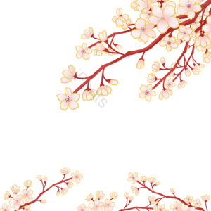 手绘 插图 春天 樱花 白 简单 粉红色 花