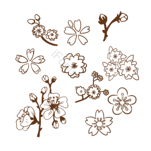 多种朝向 多种形态 樱花 元素 白描 手绘 插画 组合