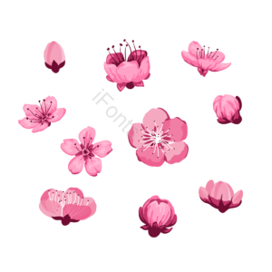 卡通 组合 插画 手绘 元素 樱花 多种形态 多种朝向