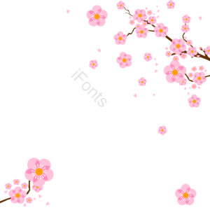 樱花 桃花 花瓣 树枝 春 春天 元素 背景