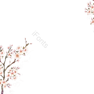 动画片 手绘竽 插画用图 分行 植物 樱花开 水彩 优雅而安静