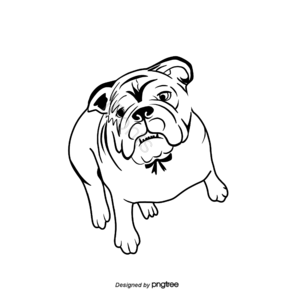 英国斗牛犬 斗牛犬 狗 白色 线条风 手绘 宠物 英国元素