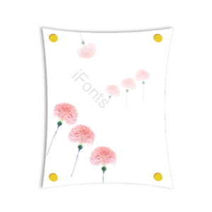 康乃馨 便签条 粉色 花朵 母亲 节日 庆祝 便签