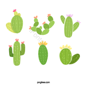 植物学 刺 墨西科 手绘感 仙人掌 绿色 仙人掌剪贴画 墨西哥剪贴画