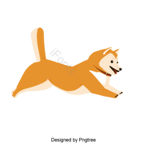 动物 宠物 可爱 狗 犬 黄色 尾巴