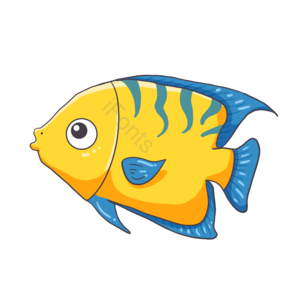 黄色 鱼 海鱼 生物 鱼类 卡通 手绘 简约