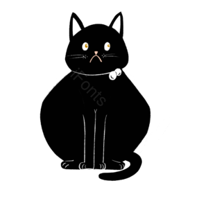 黑色 黑猫 动物 宠物 猫咪 小猫