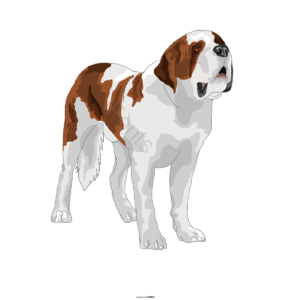 手绘 插画 英国大型犬 狗.动物 宠物
