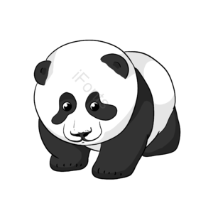 熊猫 国宝 黑白 肥胖 可爱 手绘 卡通 插画