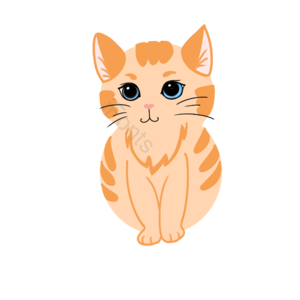 橘猫 蓝眼睛橘猫 橘猫插画 橘色花纹 胡须 蓝眼睛 可爱橘猫 手绘橘猫